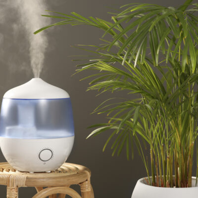 Air humidifier on wicker table near green houseplant against grey wall