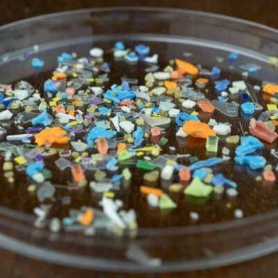 Macro shot of microplastics composition inside a lab petri dish. Concept of plastic pollution with nanoplastics.