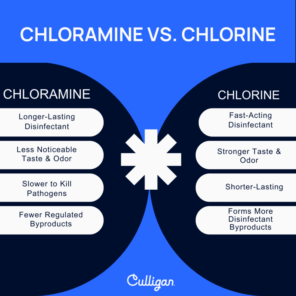 chloramine vs chlorine graphic