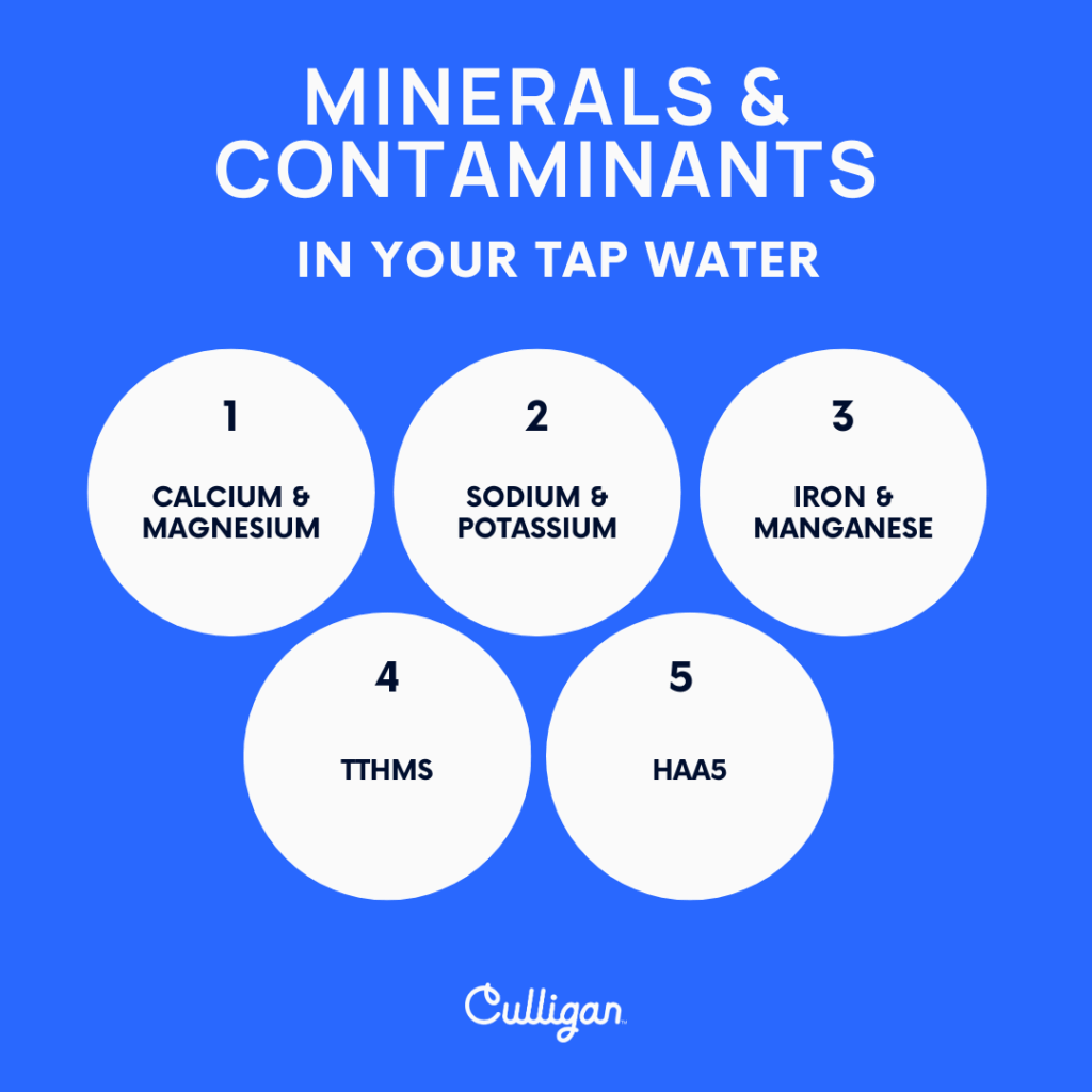 minerals in tampa tap water solutions by culligan tampa
