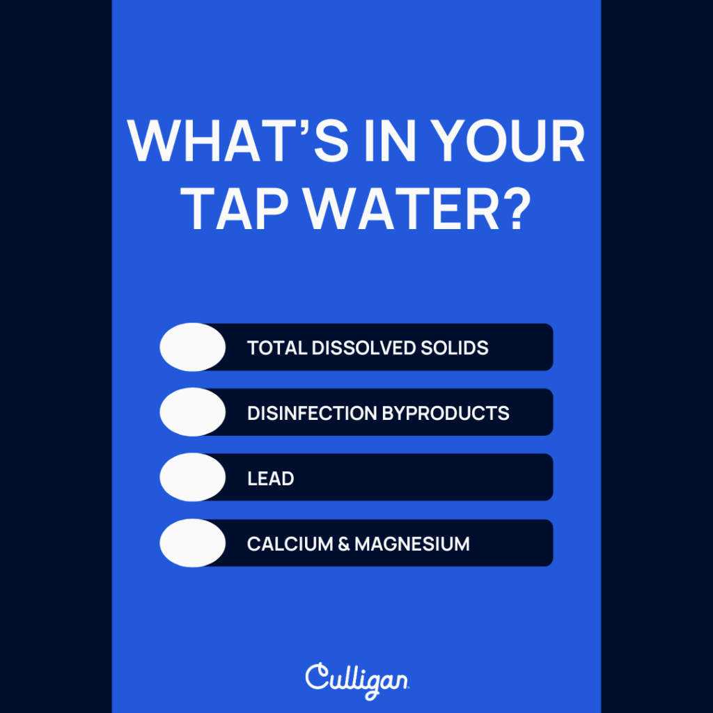 what is in tampa tap water